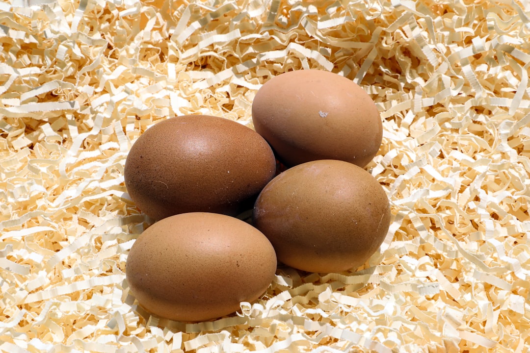 Cheap Foods That Are High in Protein UK: Budget-Friendly Picks for Beginners