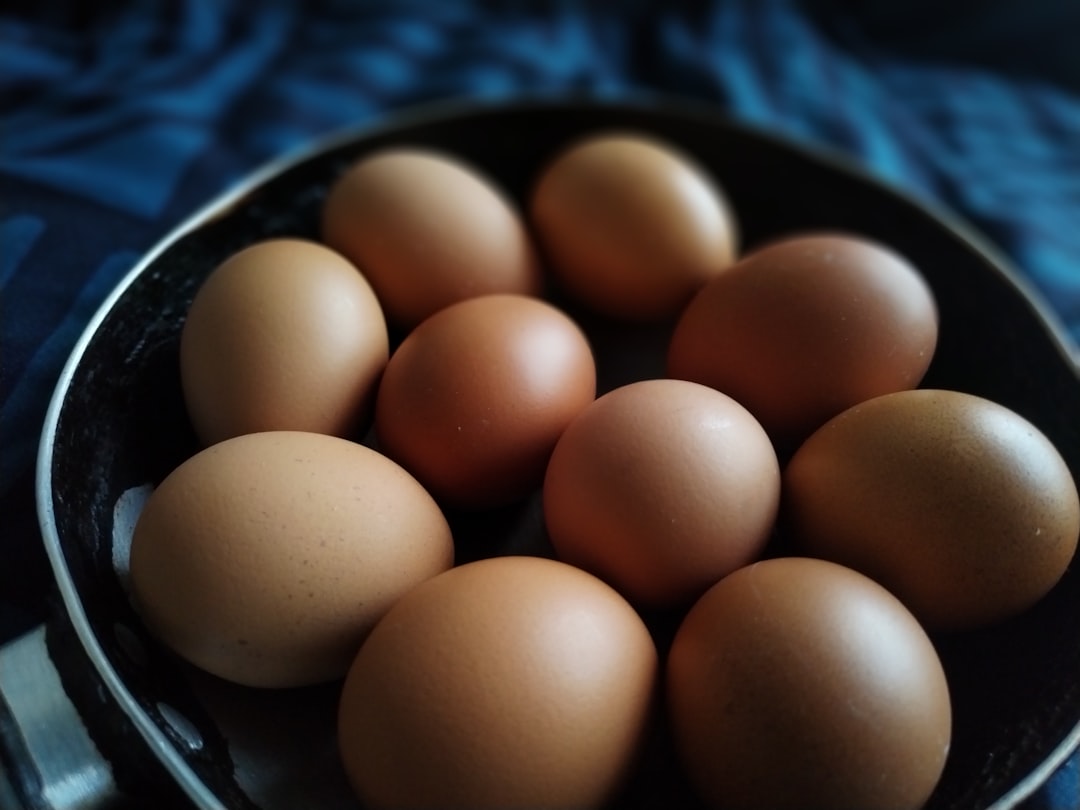 Cheapest High Protein Foods UK: Budget-Friendly Choices for Beginners